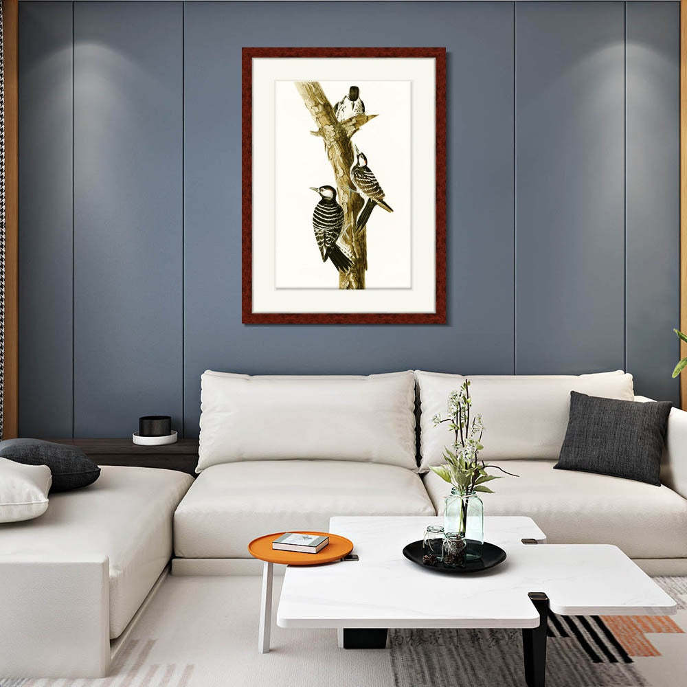 INVIN ART Framed Canvas Art Giclee Print Series#138 by John James Audubon  Home Office Wall Art Decorations