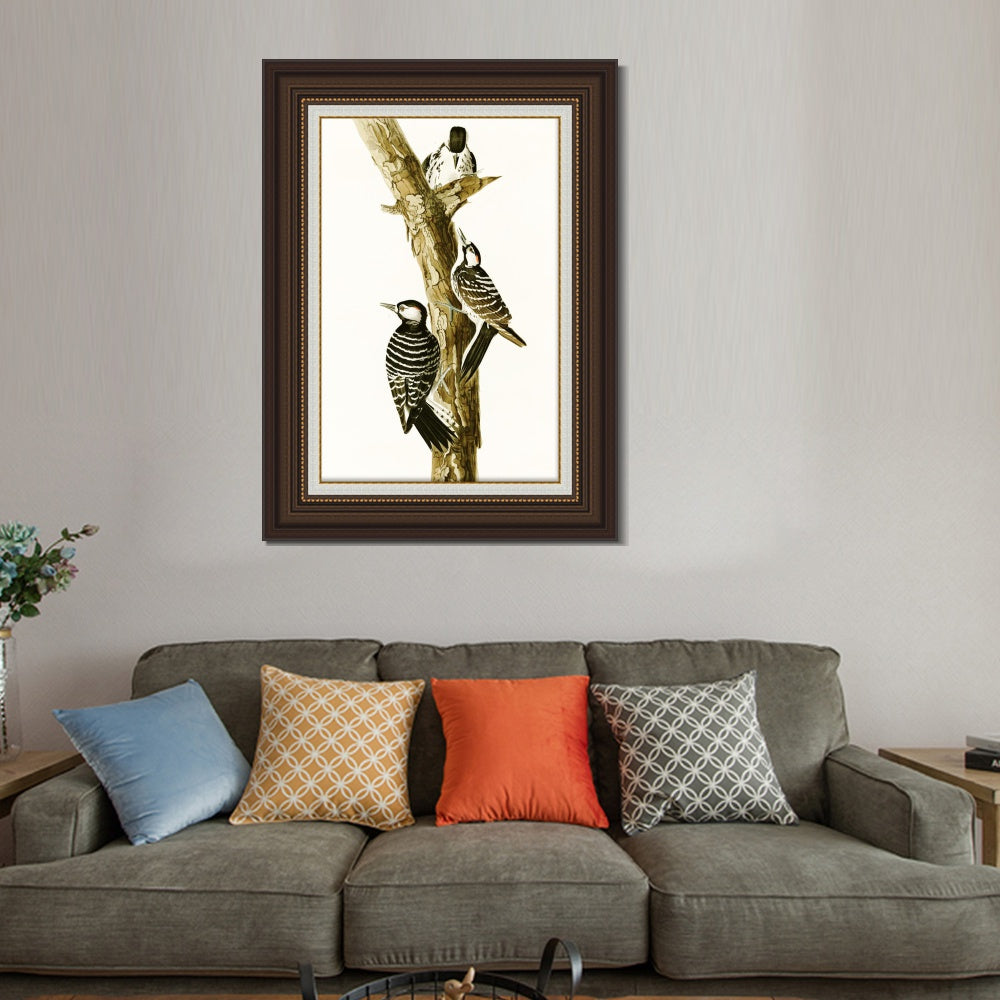 INVIN ART Framed Canvas Art Giclee Print Series#138 by John James Audubon  Home Office Wall Art Decorations