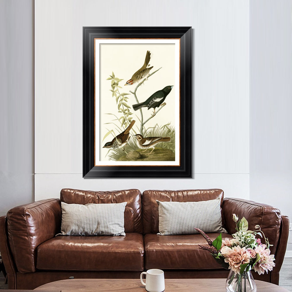 INVIN ART Framed Canvas Art Giclee Print Series#139 by John James Audubon  Home Office Wall Art Decorations