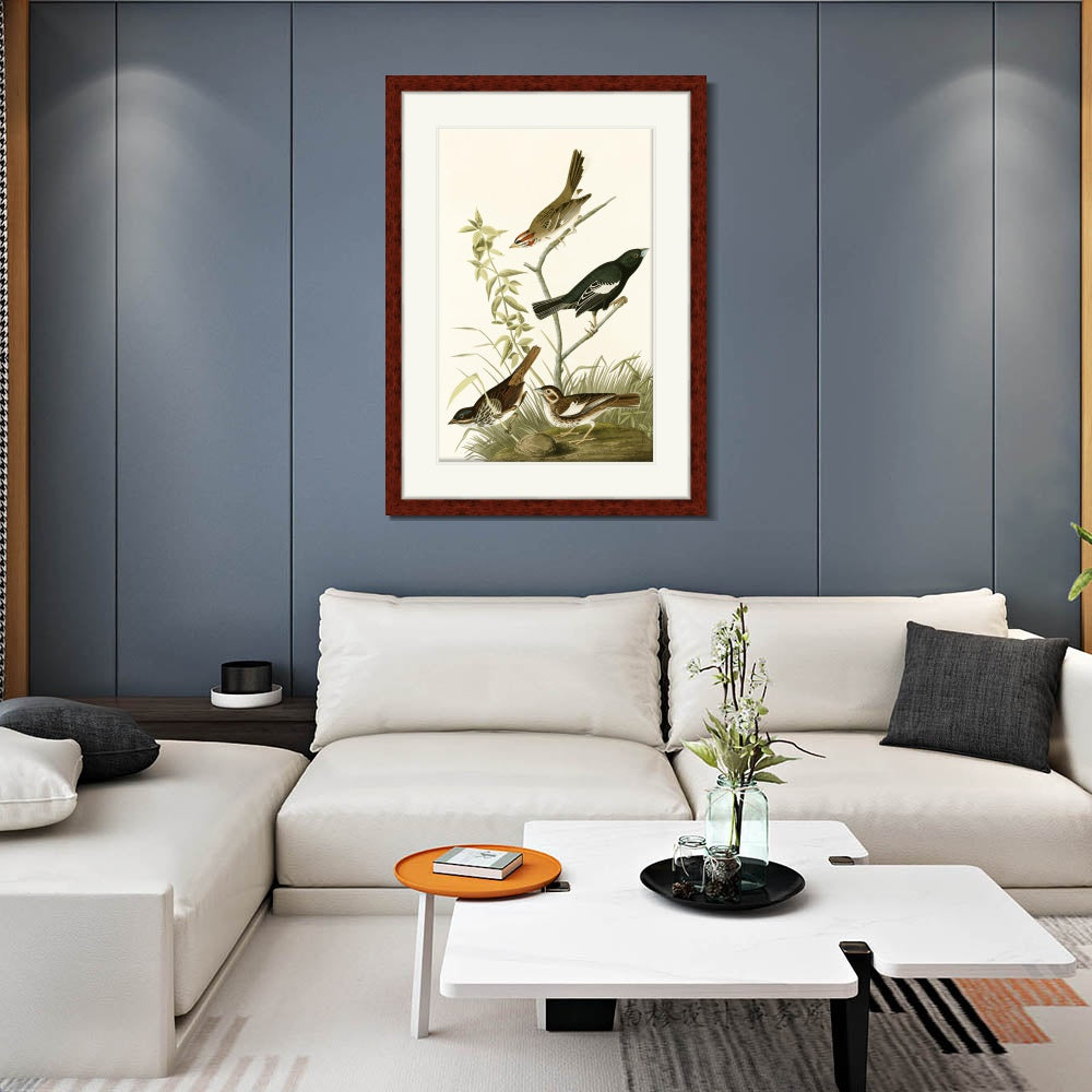 INVIN ART Framed Canvas Art Giclee Print Series#139 by John James Audubon  Home Office Wall Art Decorations