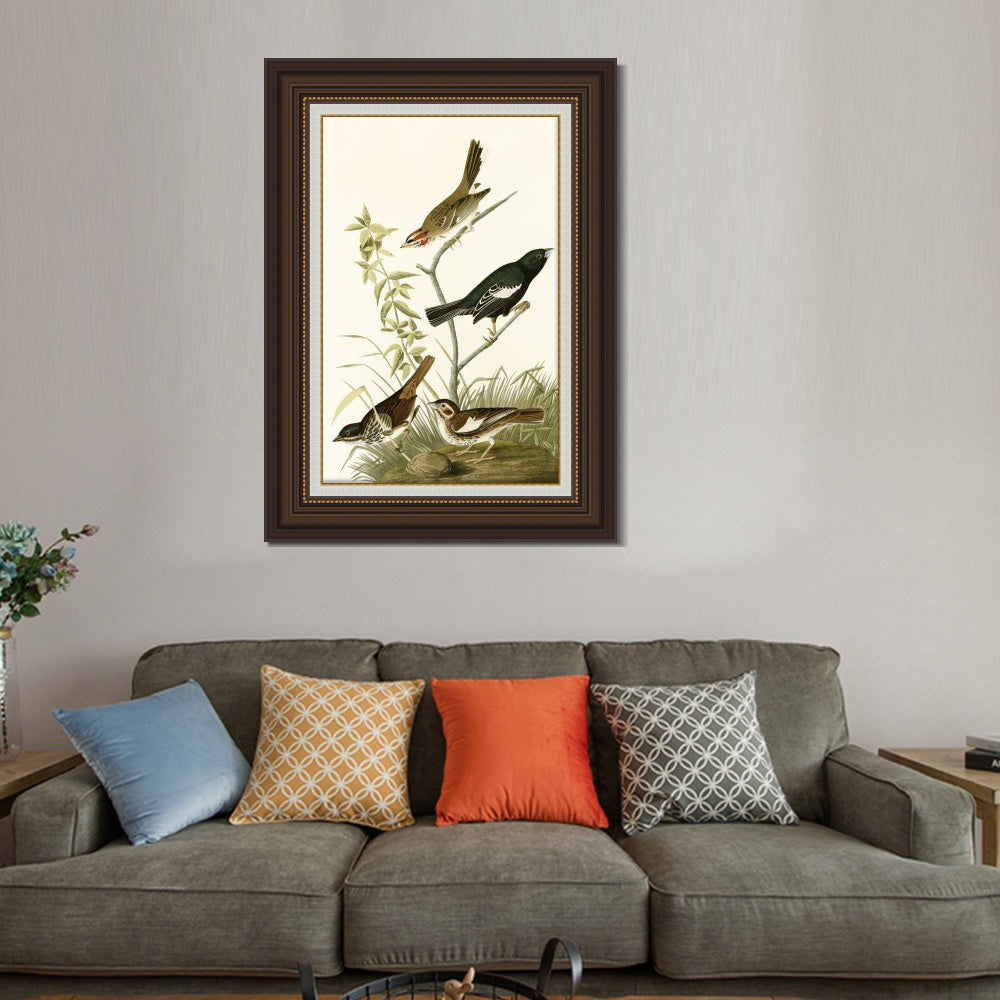 INVIN ART Framed Canvas Art Giclee Print Series#139 by John James Audubon  Home Office Wall Art Decorations