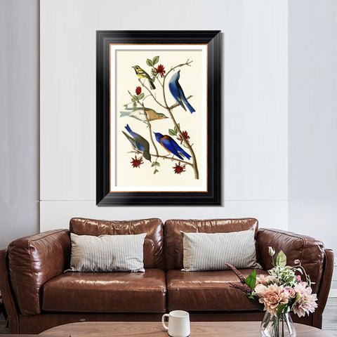 INVIN ART Framed Canvas Art Giclee Print Series#140 by John James Audubon Living Room Home Office Wall Art Decorations