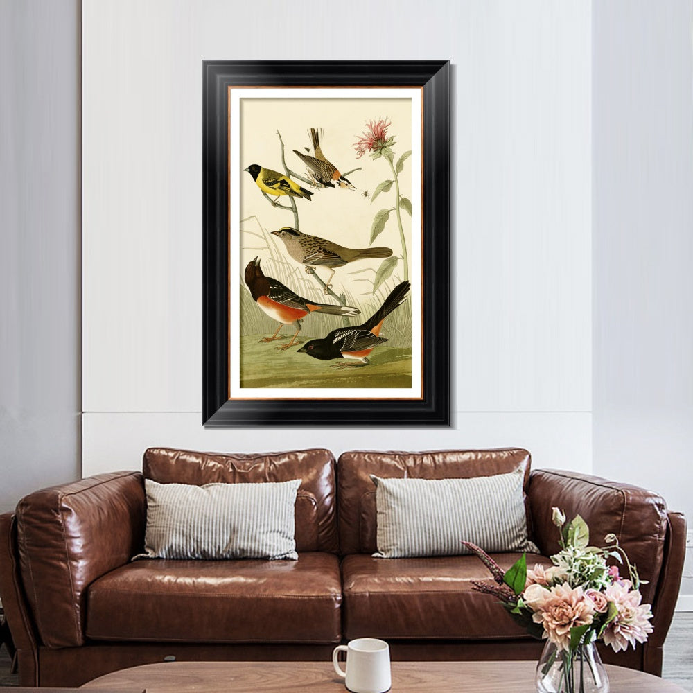 INVIN ART Framed Canvas Art Giclee Print Series#141 by John James Audubon  Home Office Wall Art Decorations