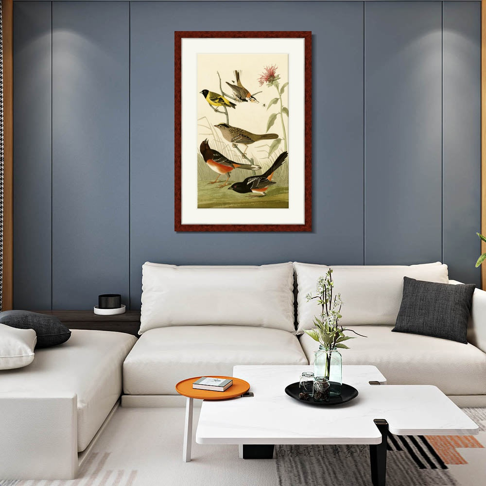 INVIN ART Framed Canvas Art Giclee Print Series#141 by John James Audubon  Home Office Wall Art Decorations