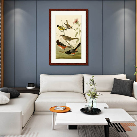 INVIN ART Framed Canvas Art Giclee Print Series#141 by John James Audubon Living Room Home Office Wall Art Decorations