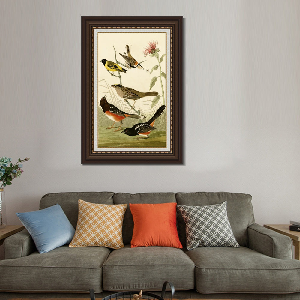 INVIN ART Framed Canvas Art Giclee Print Series#141 by John James Audubon  Home Office Wall Art Decorations