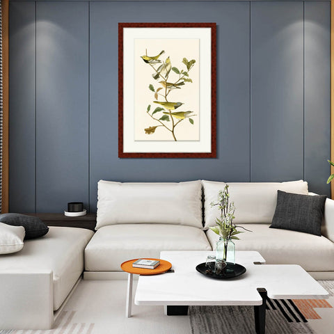 INVIN ART Framed Canvas Art Giclee Print Series#144 by John James Audubon Living Room Home Office Wall Art Decorations