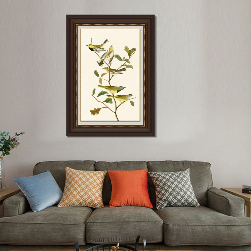 INVIN ART Framed Canvas Art Giclee Print Series#144 by John James Audubon  Home Office Wall Art Decorations