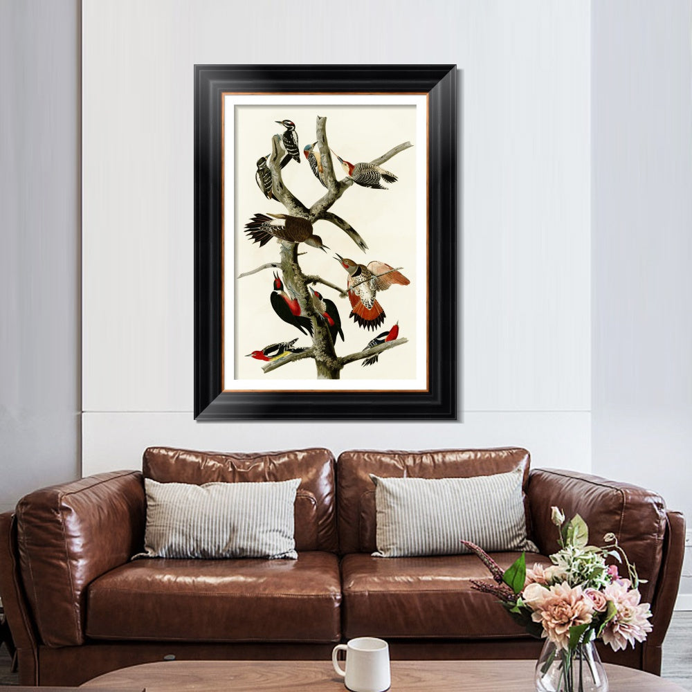 INVIN ART Framed Canvas Art Giclee Print Series#145 by John James Audubon  Home Office Wall Art Decorations