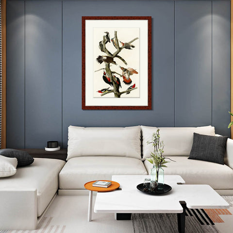 INVIN ART Framed Canvas Art Giclee Print Series#145 by John James Audubon Living Room Home Office Wall Art Decorations