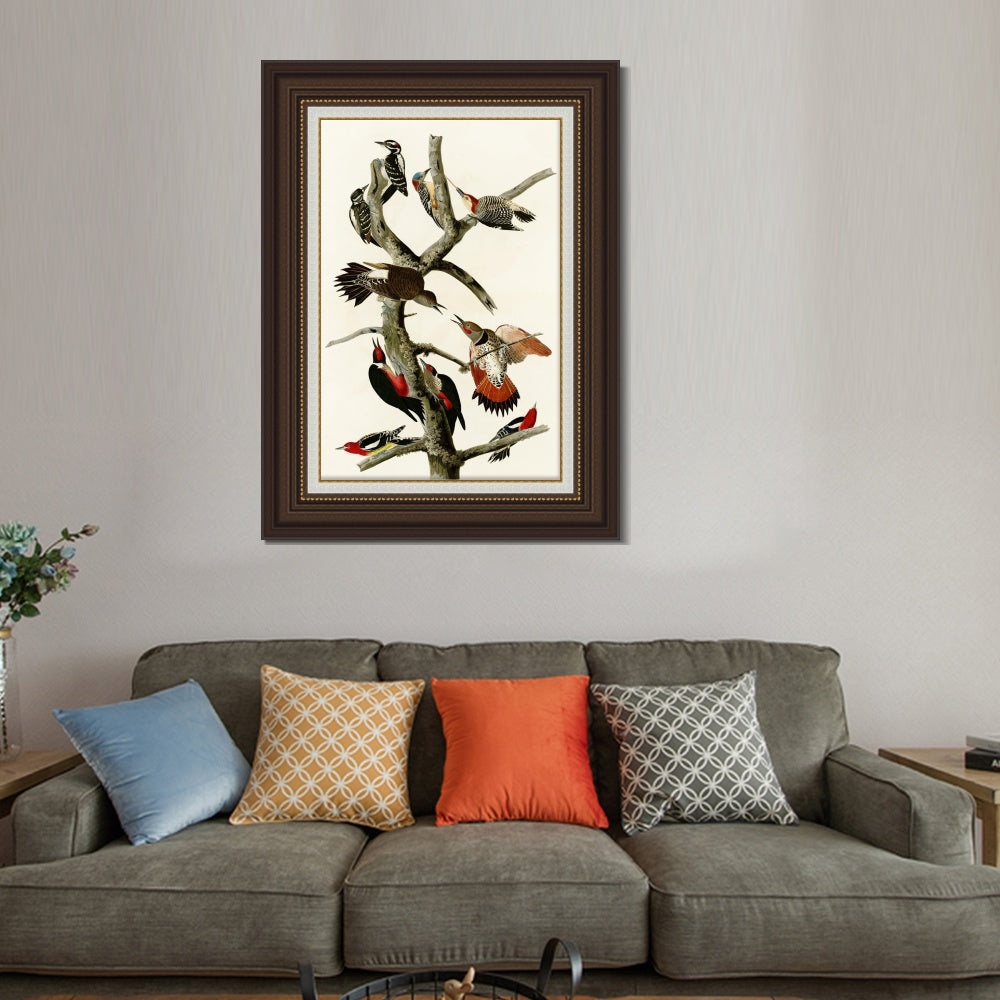 INVIN ART Framed Canvas Art Giclee Print Series#145 by John James Audubon  Home Office Wall Art Decorations