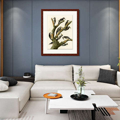 INVIN ART Framed Canvas Art Giclee Print Series#146 by John James Audubon Living Room Home Office Wall Art Decorations