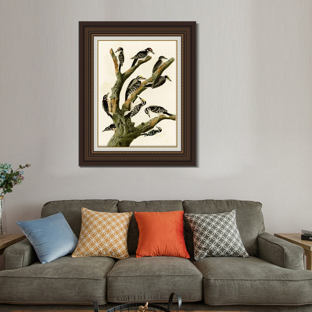 INVIN ART Framed Canvas Art Giclee Print Series#146 by John James Audubon  Home Office Wall Art Decorations