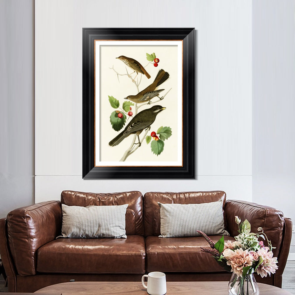INVIN ART Framed Canvas Art Giclee Print Series#147 by John James Audubon  Home Office Wall Art Decorations