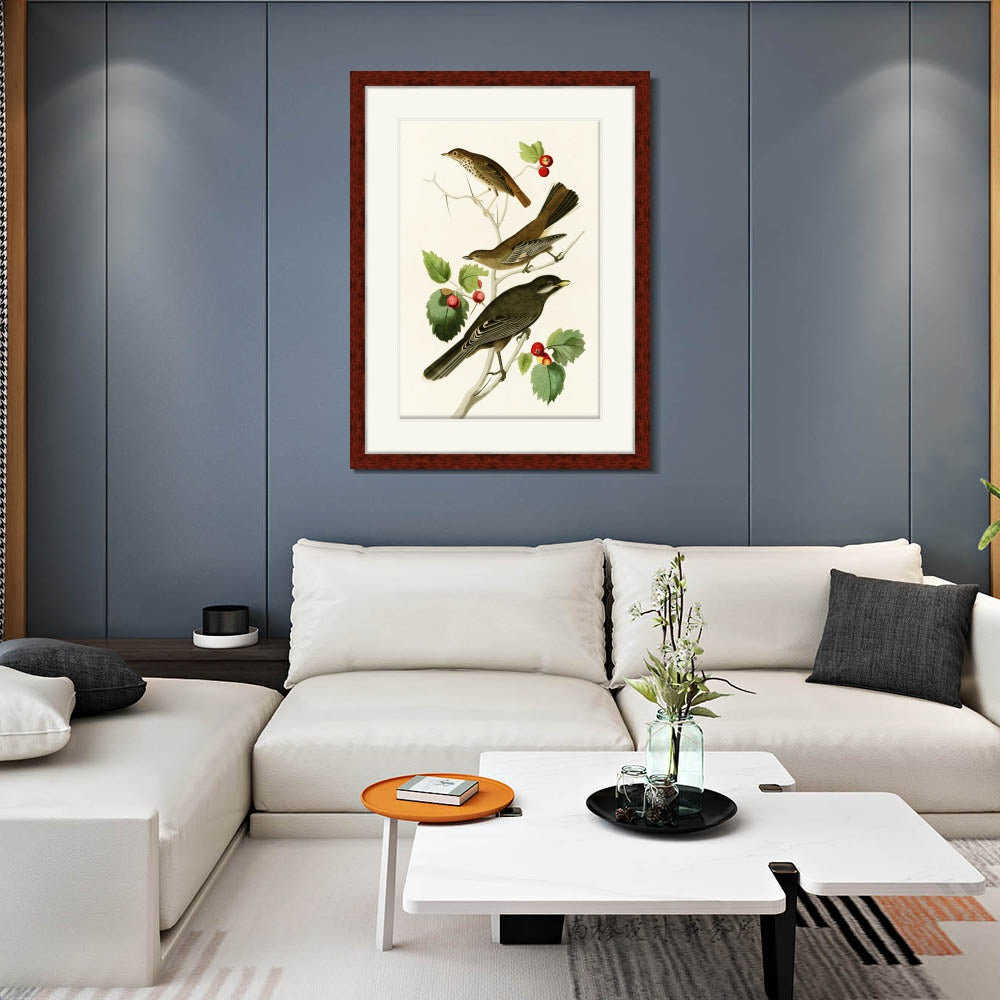 INVIN ART Framed Canvas Art Giclee Print Series#147 by John James Audubon  Home Office Wall Art Decorations