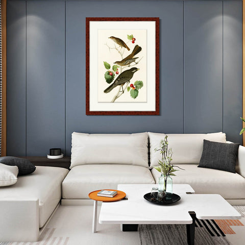 INVIN ART Framed Canvas Art Giclee Print Series#147 by John James Audubon Living Room Home Office Wall Art Decorations