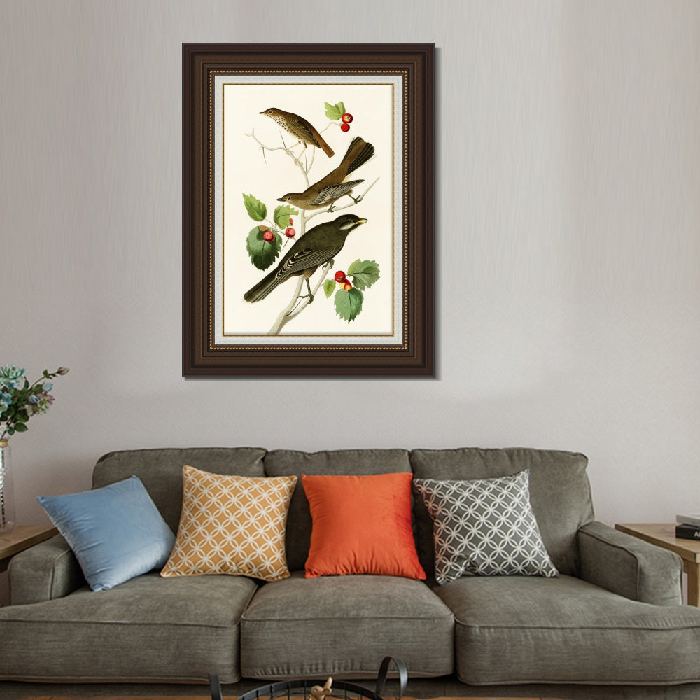 INVIN ART Framed Canvas Art Giclee Print Series#147 by John James Audubon  Home Office Wall Art Decorations