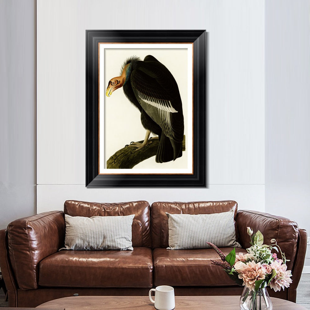 INVIN ART Framed Canvas Art Giclee Print Series#149 by John James Audubon  Home Office Wall Art Decorations