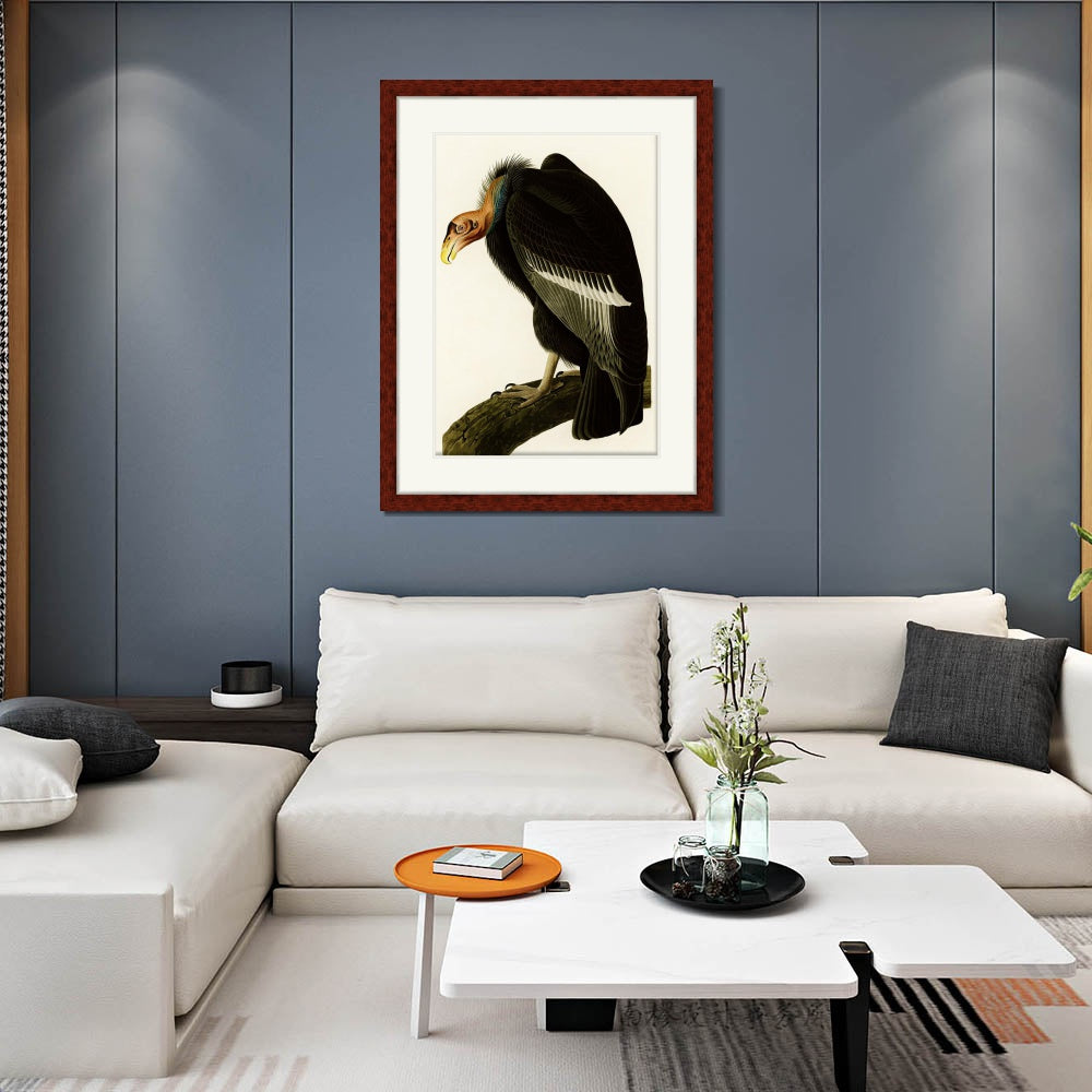 INVIN ART Framed Canvas Art Giclee Print Series#149 by John James Audubon  Home Office Wall Art Decorations