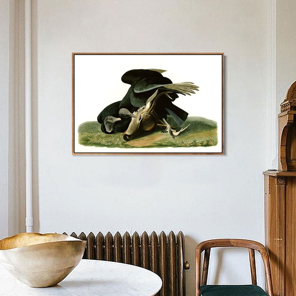 INVIN ART Framed Canvas Giclee Print Black_Vulture_or_Carrion_Crow by John James Audubon Wall Art Living Room Home Office Decorations