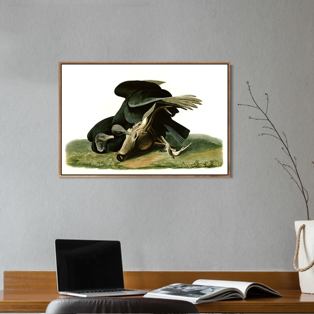 INVIN ART Framed Canvas Giclee Print Black_Vulture_or_Carrion_Crow by John James Audubon Wall Art Living Room Home Office Decorations