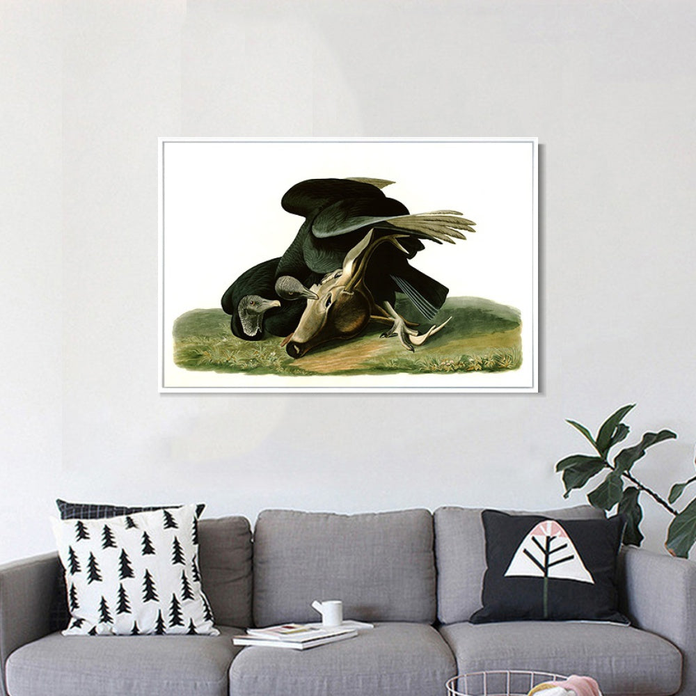 INVIN ART Framed Canvas Giclee Print Black_Vulture_or_Carrion_Crow by John James Audubon Wall Art Living Room Home Office Decorations