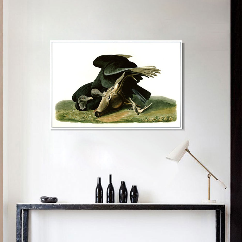 INVIN ART Framed Canvas Giclee Print Black_Vulture_or_Carrion_Crow by John James Audubon Wall Art Living Room Home Office Decorations