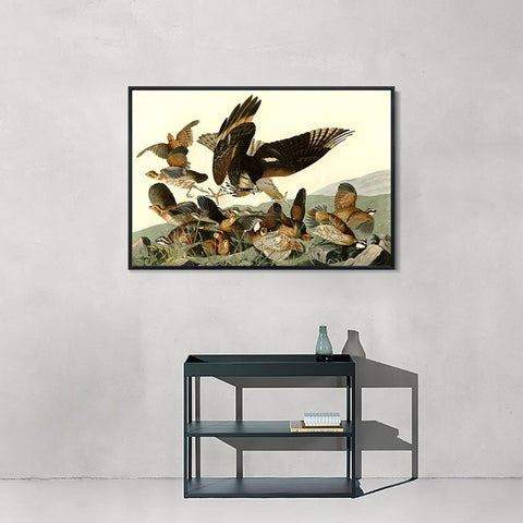 INVIN ART Framed Canvas Giclee Print Virginian_Partridge by John James Audubon Wall Art Living Room Home Office Decorations