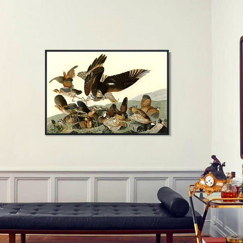 INVIN ART Framed Canvas Giclee Print Virginian_Partridge by John James Audubon Wall Art Living Room Home Office Decorations
