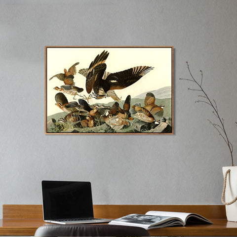 INVIN ART Framed Canvas Giclee Print Virginian_Partridge by John James Audubon Wall Art Living Room Home Office Decorations