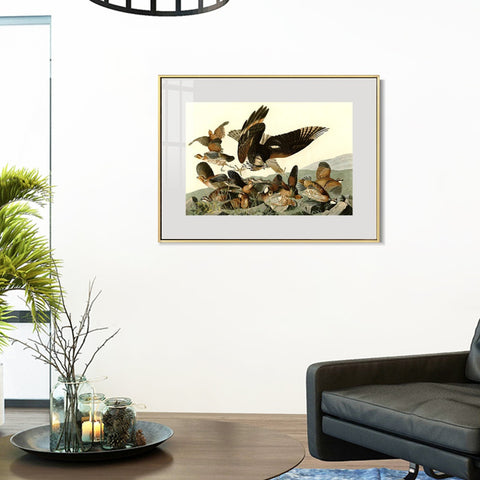 INVIN ART Metal Framed Canvas Giclee Print Virginian_Partridge by John James Audubon Wall Art Living Room Home Office Decorations