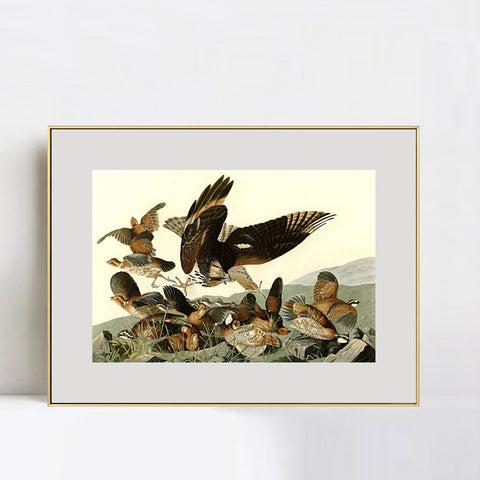 INVIN ART Metal Framed Canvas Giclee Print Virginian_Partridge by John James Audubon Wall Art Living Room Home Office Decorations