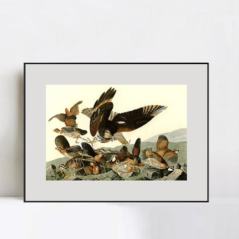 INVIN ART Metal Framed Canvas Giclee Print Virginian_Partridge by John James Audubon Wall Art Living Room Home Office Decorations