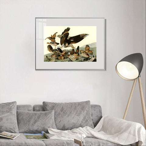 INVIN ART Metal Framed Canvas Giclee Print Virginian_Partridge by John James Audubon Wall Art Living Room Home Office Decorations