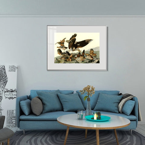 INVIN ART Metal Framed Canvas Giclee Print Virginian_Partridge by John James Audubon Wall Art Living Room Home Office Decorations