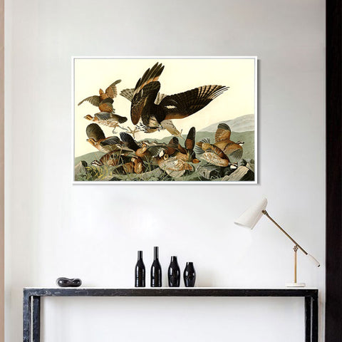 INVIN ART Framed Canvas Giclee Print Virginian_Partridge by John James Audubon Wall Art Living Room Home Office Decorations