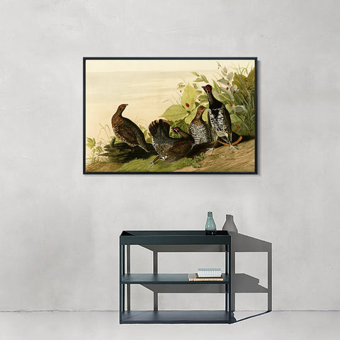 INVIN ART Framed Canvas Giclee Print Spotted_Grous by John James Audubon Wall Art Living Room Home Office Decorations