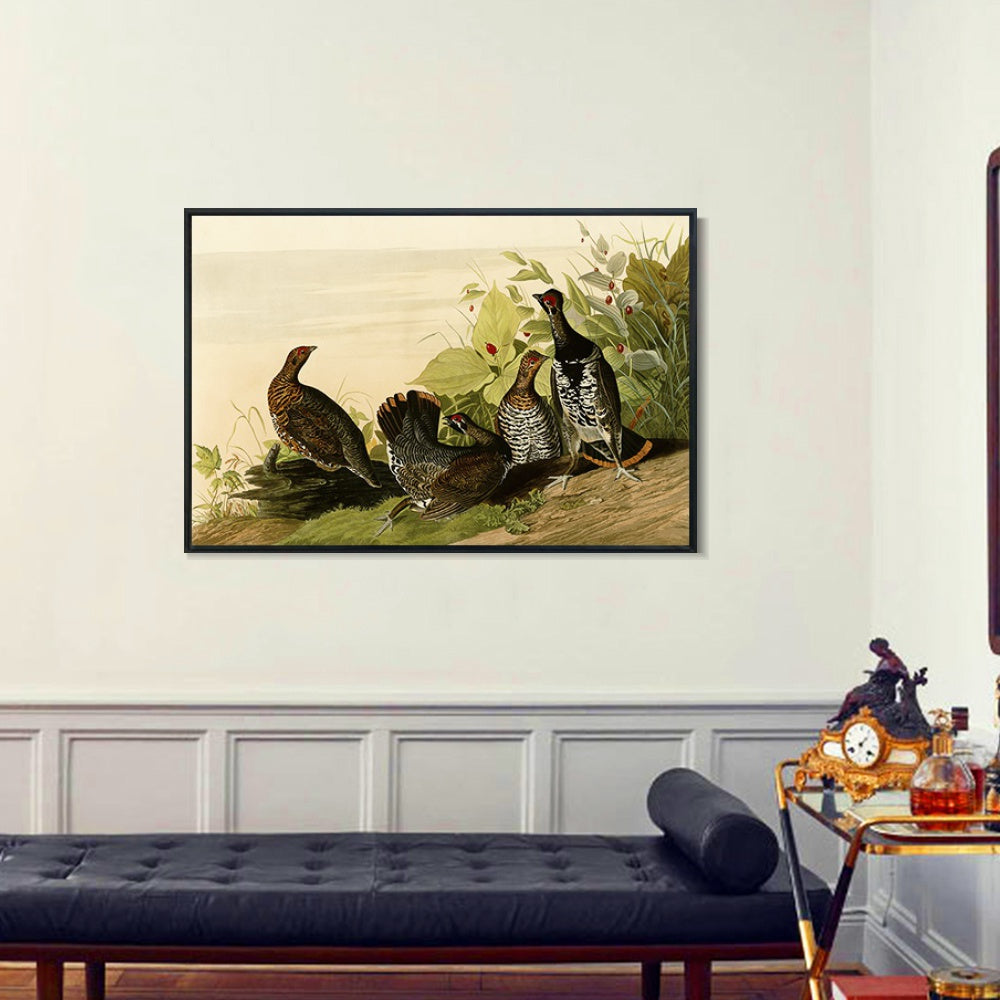 INVIN ART Framed Canvas Giclee Print Spotted_Grous by John James Audubon Wall Art Living Room Home Office Decorations