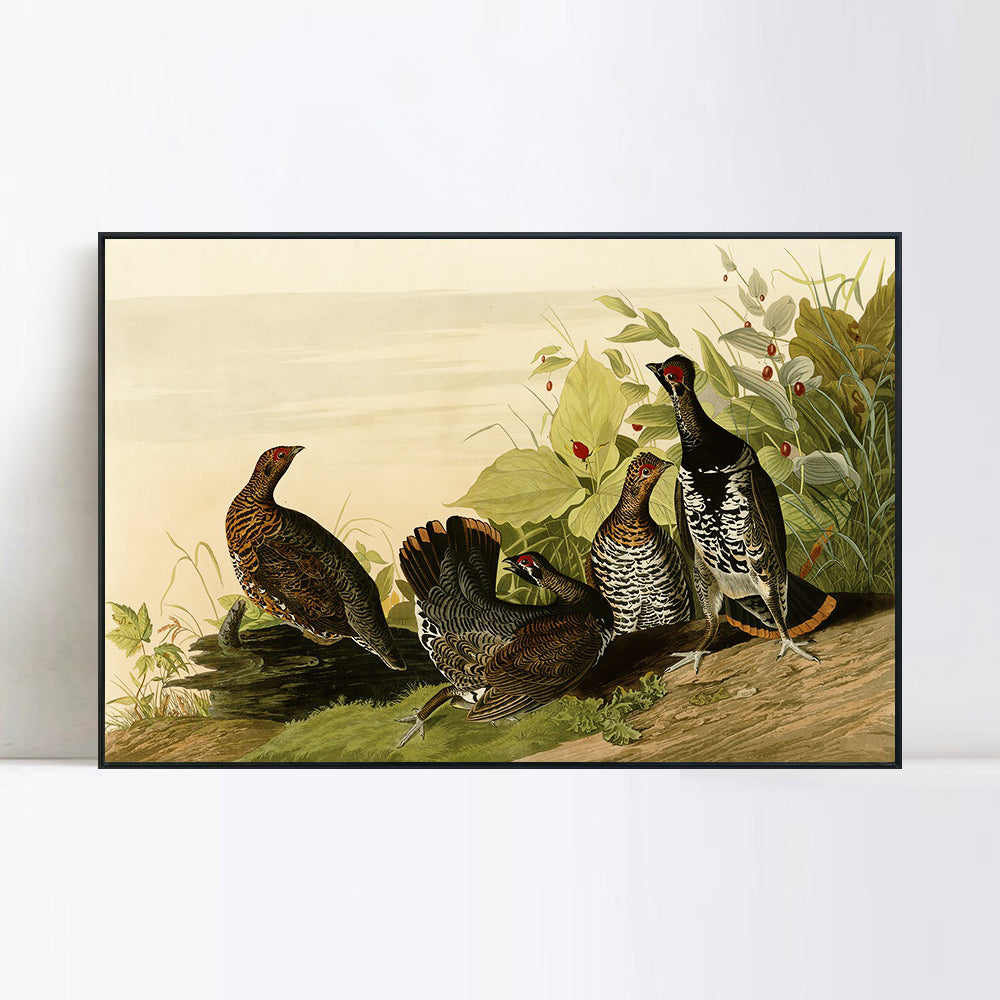 INVIN ART Framed Canvas Giclee Print Spotted_Grous by John James Audubon Wall Art Living Room Home Office Decorations