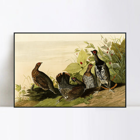 INVIN ART Framed Canvas Giclee Print Spotted_Grous by John James Audubon Wall Art Living Room Home Office Decorations
