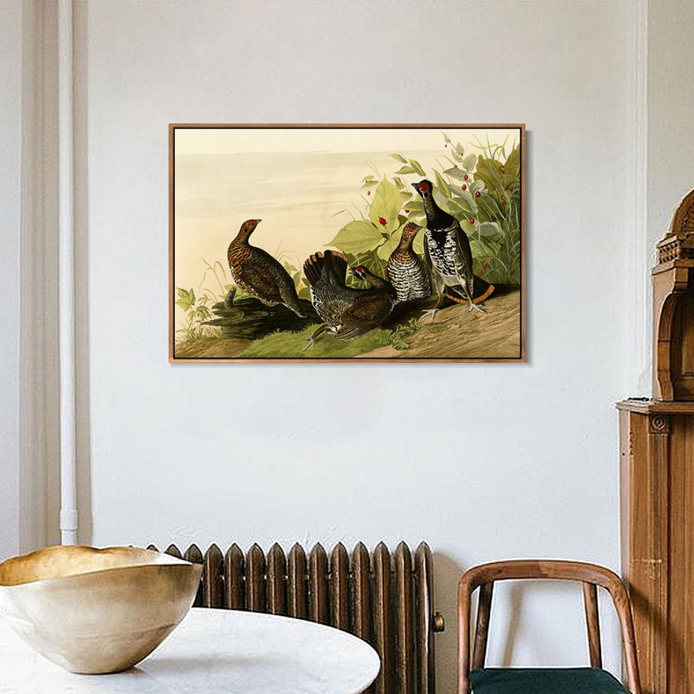 INVIN ART Framed Canvas Giclee Print Spotted_Grous by John James Audubon Wall Art Living Room Home Office Decorations