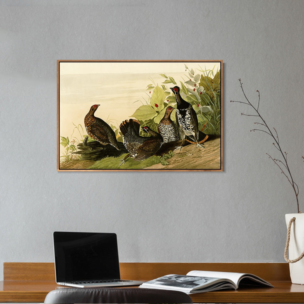 INVIN ART Framed Canvas Giclee Print Spotted_Grous by John James Audubon Wall Art Living Room Home Office Decorations