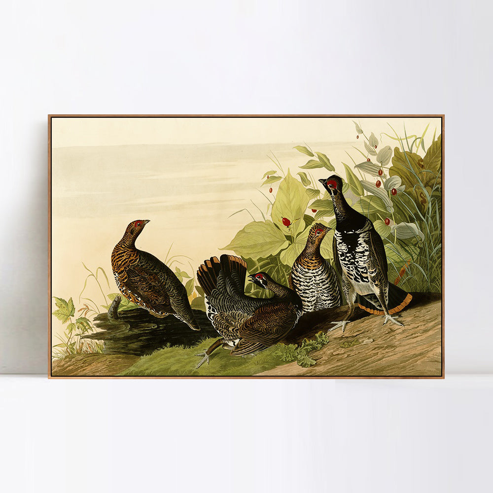 INVIN ART Framed Canvas Giclee Print Spotted_Grous by John James Audubon Wall Art Living Room Home Office Decorations