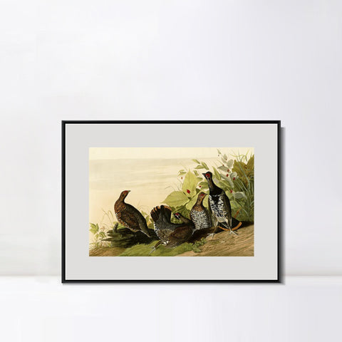 INVIN ART Metal Framed Canvas Giclee Print Spotted_Grous by John James Audubon Wall Art Living Room Home Office Decorations