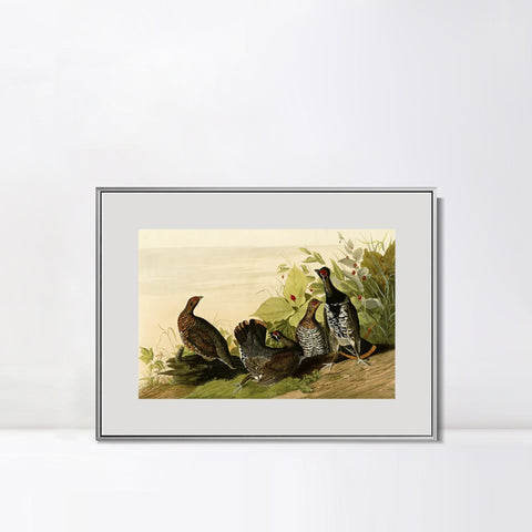INVIN ART Metal Framed Canvas Giclee Print Spotted_Grous by John James Audubon Wall Art Living Room Home Office Decorations