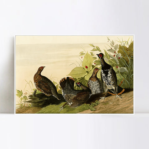 INVIN ART Framed Canvas Giclee Print Spotted_Grous by John James Audubon Wall Art Living Room Home Office Decorations