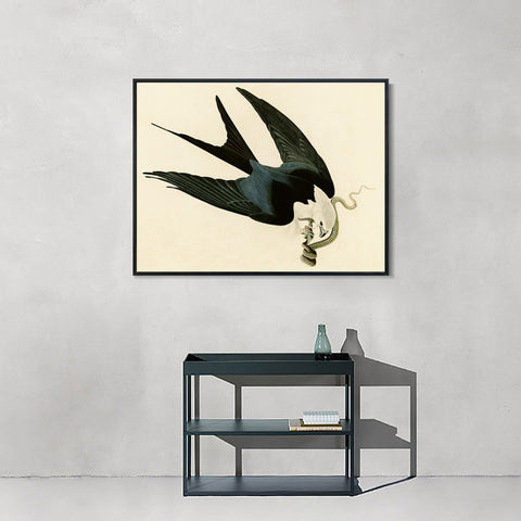 INVIN ART Framed Canvas Giclee Print Swallow-tailed_Hawk by John James Audubon Wall Art Living Room Home Office Decorations