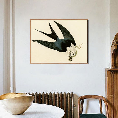 INVIN ART Framed Canvas Giclee Print Swallow-tailed_Hawk by John James Audubon Wall Art Living Room Home Office Decorations
