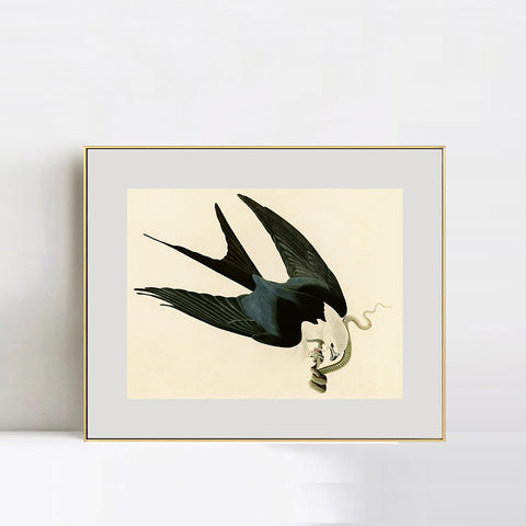 INVIN ART Metal Framed Canvas Giclee Print Swallow-tailed_Hawk by John James Audubon Wall Art Living Room Home Office Decorations