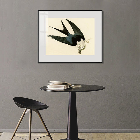 INVIN ART Metal Framed Canvas Giclee Print Swallow-tailed_Hawk by John James Audubon Wall Art Living Room Home Office Decorations